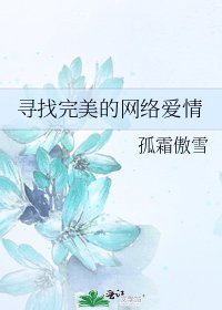 尋找完美的網路愛情