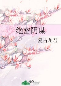 绝密阴谋